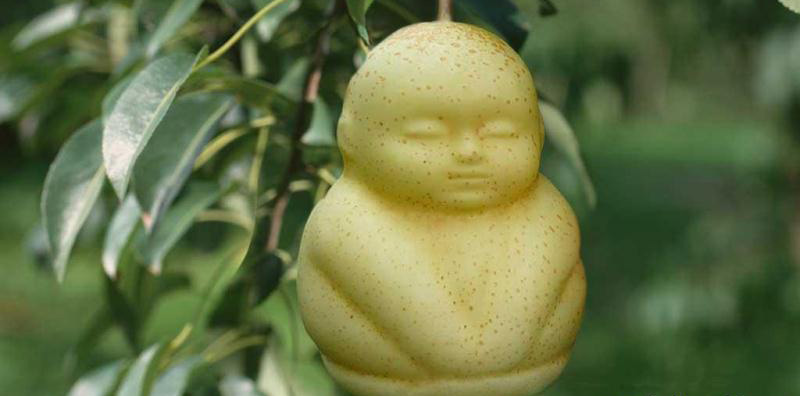 fruit-buddha