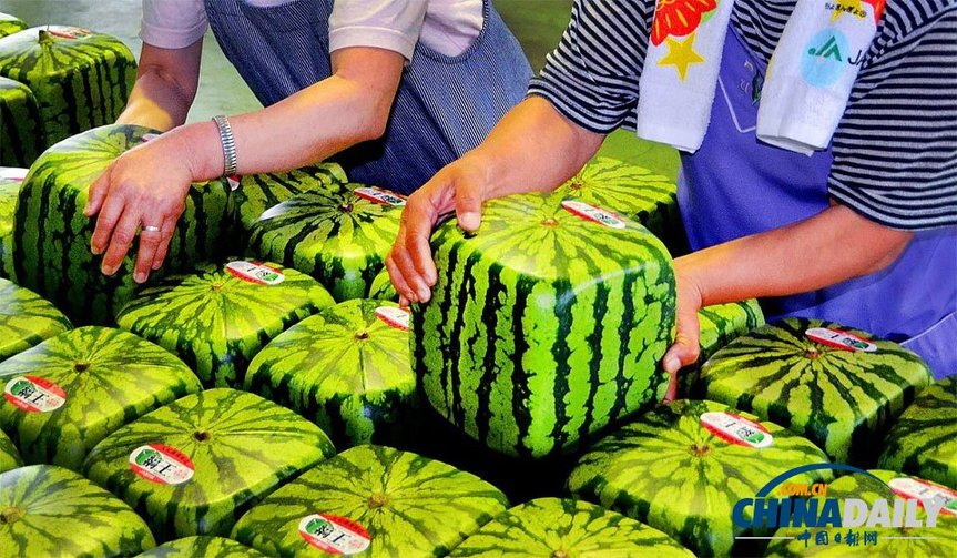 square watermelon