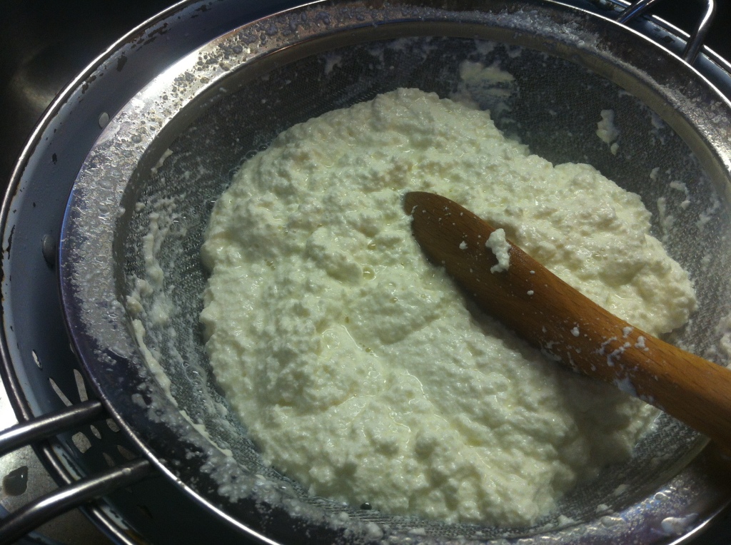 ricotta